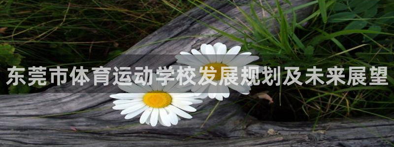 yy易游官方正版app代理：东莞市体育运动学校发展规