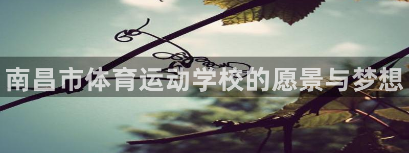 yy易游官网下载平台是正规平台吗：南昌市体育运动学校