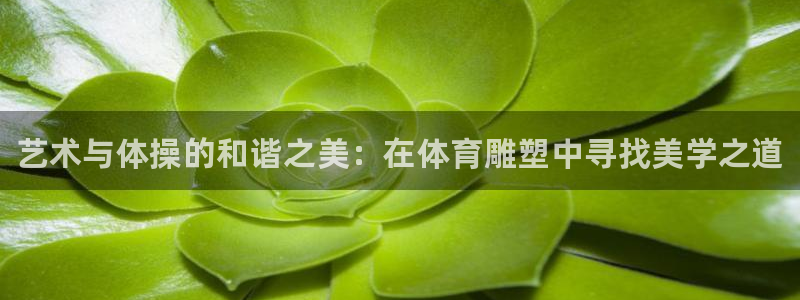 yy易游官方正版app官网：艺术与体操的和谐之美：在