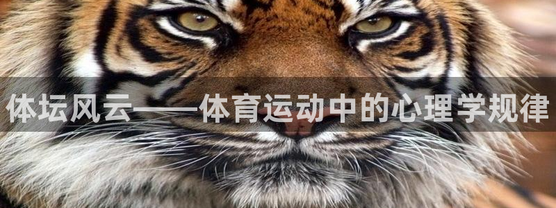 yy易游官方正版app新能源：体坛风云——体育运动中