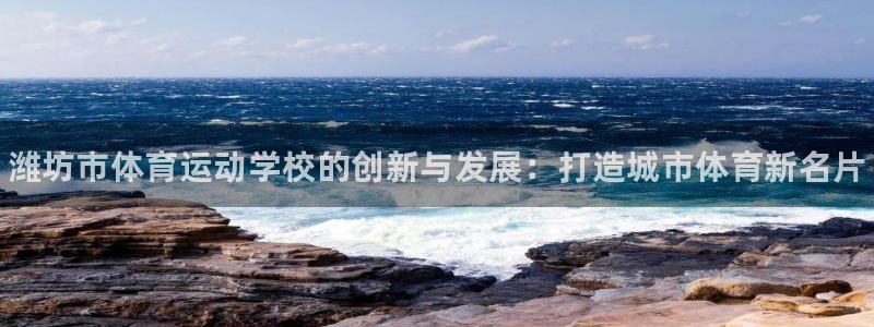 yy易游官网下载平台APP：潍坊市体育运动学校的创新