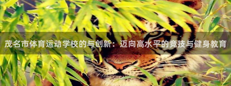 yy易游官网下载招商电话：茂名市体育运动学校的与创新