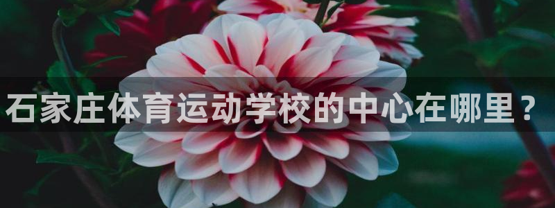 海南yy易游官网下载：石家庄体育运动学校的中心在哪里