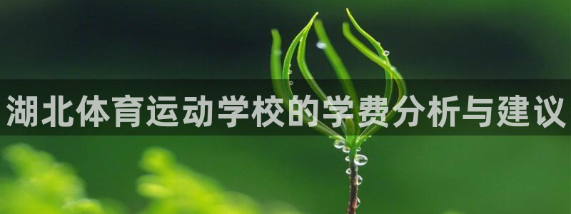yy易游官网下载招商电话地址是多少：湖北体育运动学校