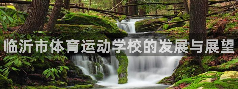 yy易游官方正版app娱乐：临沂市体育运动学校的发展与展望