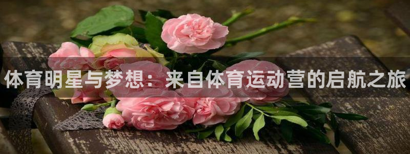 yy易游官网下载平台：体育明星与梦想：来自体育运动营的启航之