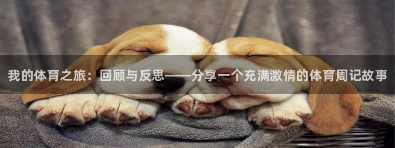 yy易游官方正版app集团：我的体育之旅：回顾与反思——分享