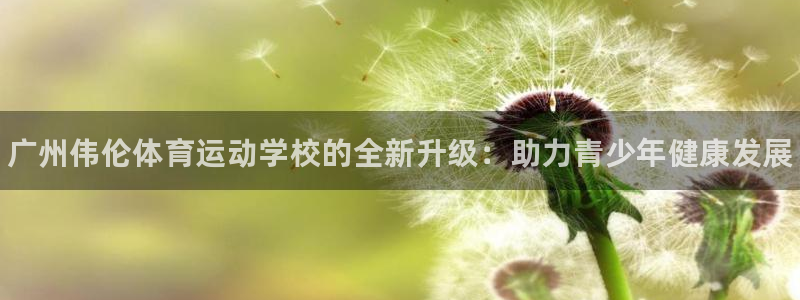 yy易游官方正版app娱乐首页网站大全：广州伟伦体育运动学校