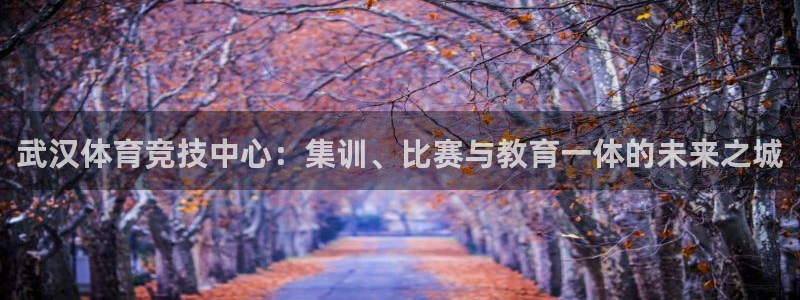 yy易游官方正版app集团简介：武汉体育竞技中心：集