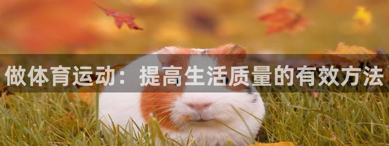 yy易游官方正版app集团官网首页网址：做体育运动：