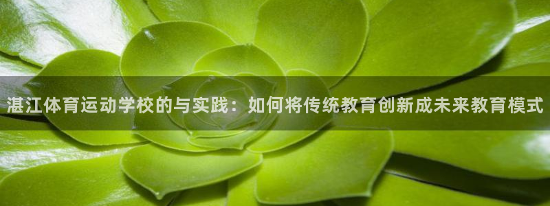 yy易游官方正版app娱乐
