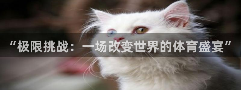 yy易游官方正版app集团官网网址