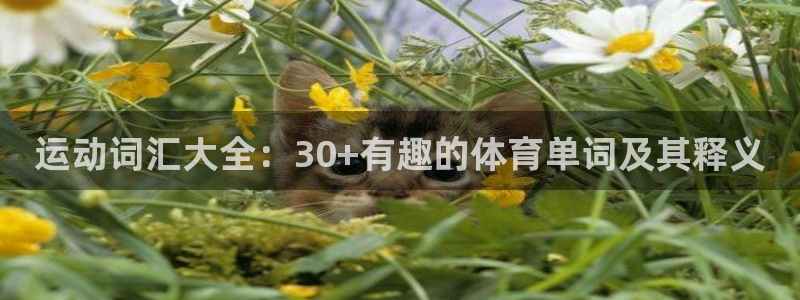 yy易游官方平台体育