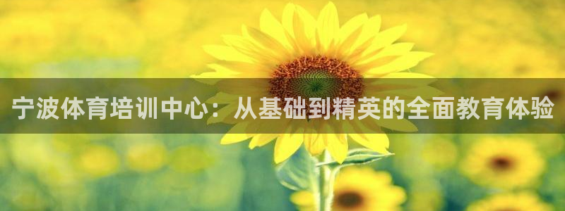 yy易游官方正版app集团官网首页网址