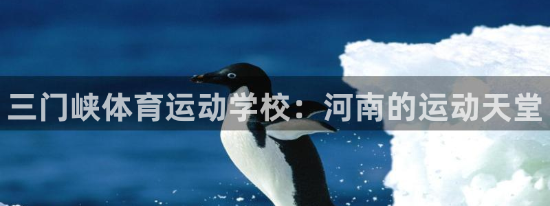yy易游官网下载招商