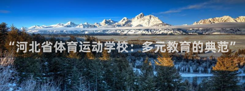 yy易游官方正版app科技