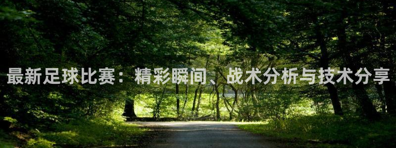 yy易游官方平台体育：最新足球比赛：精彩瞬间、战术分