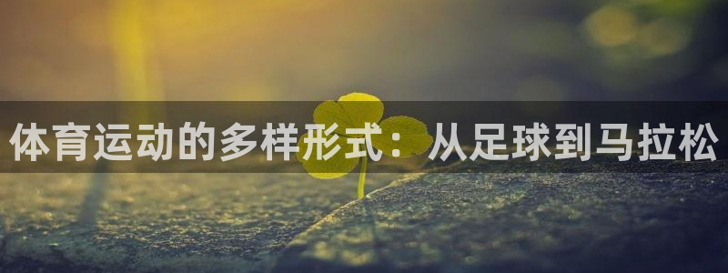 YY易游体育app最新版本更新内容