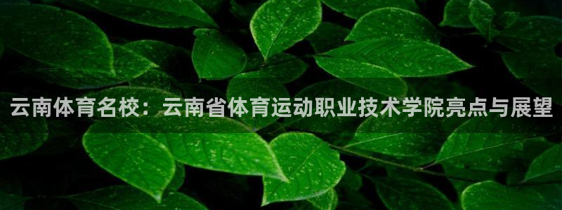  yy易游体育电竞登录不上去：云南体育名校：云南省体育运动职业