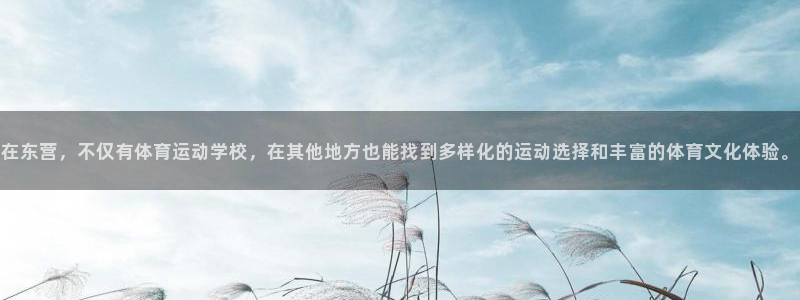 yy易游体育平台