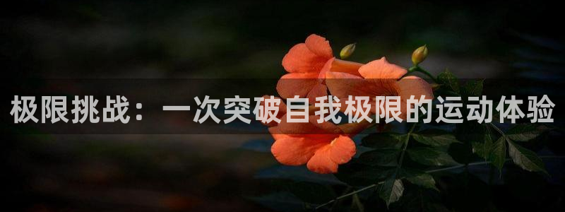 yy易游体育电竞登录不上去怎么办：极