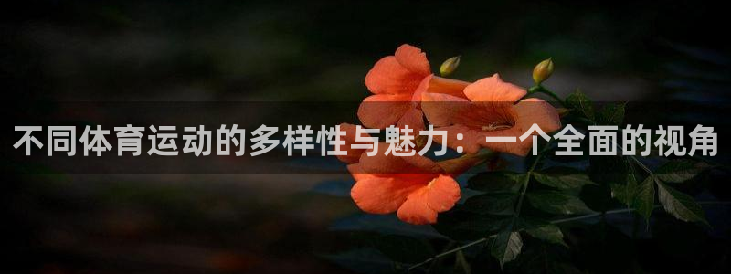 YY易游体育app最新版本更新内容：