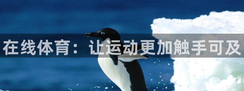 yy易游体育平台：在线体育：让运动更加触手可及