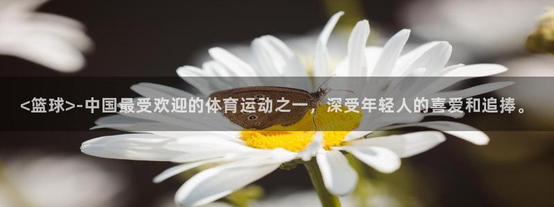 yy易游体育是什么：<篮球>-中国最受欢迎的体育运动之一，深