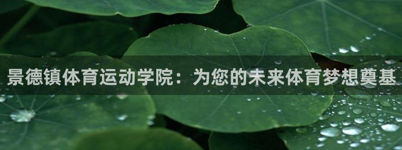 yy易游体育电竞怎么样：景德镇体育运动学院：为您的未来体育梦