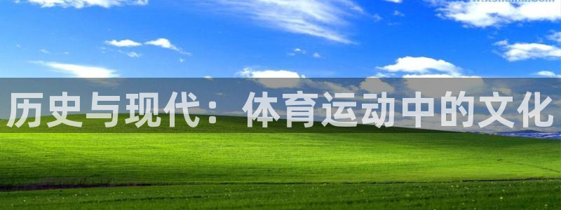 yy易游体育是正规的吗安全吗：历史与现代：体育运动中的文化