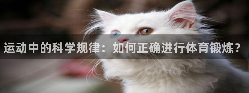 yy易游体育：运动中的科学规律：如何正确进行体育锻炼？