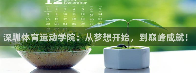  yy易游体育电竞登录不上去怎么办：深圳体育运动学院：从梦想开