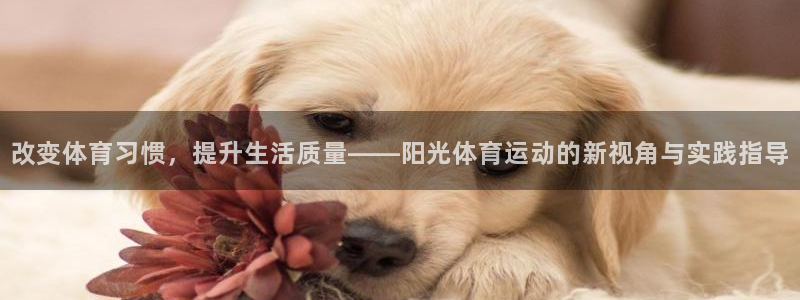 yy易游体育怎么样知乎：改变体育习惯
