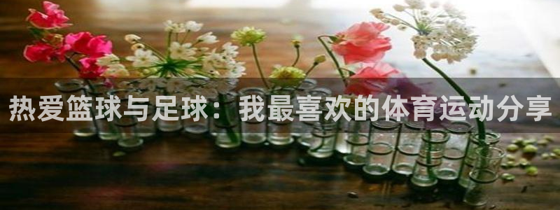 yy易游官方正版app娱乐代理怎么样:热爱篮球与足球:我最喜